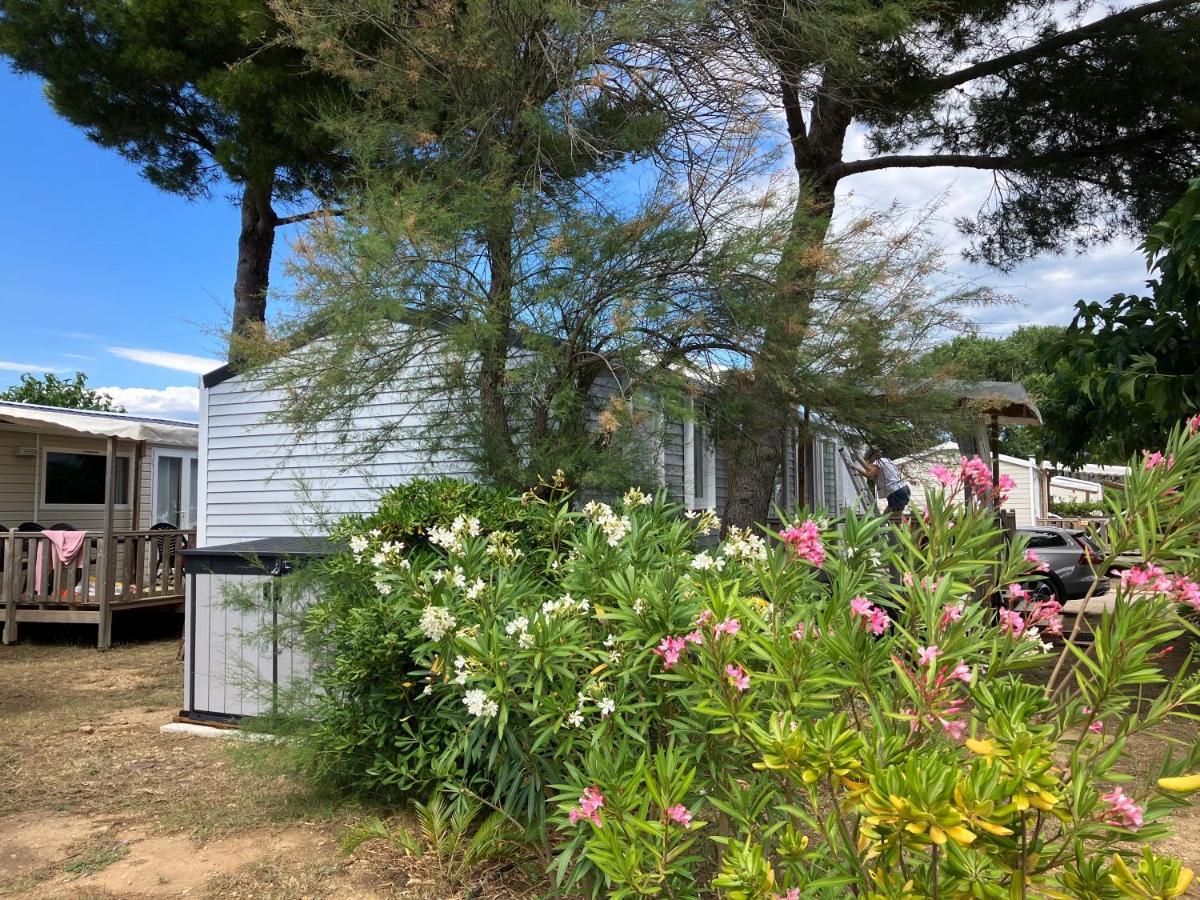 Mobil Home - Camping La Falaise ناربون المظهر الخارجي الصورة